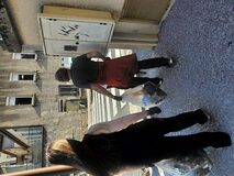 Galerie photo 